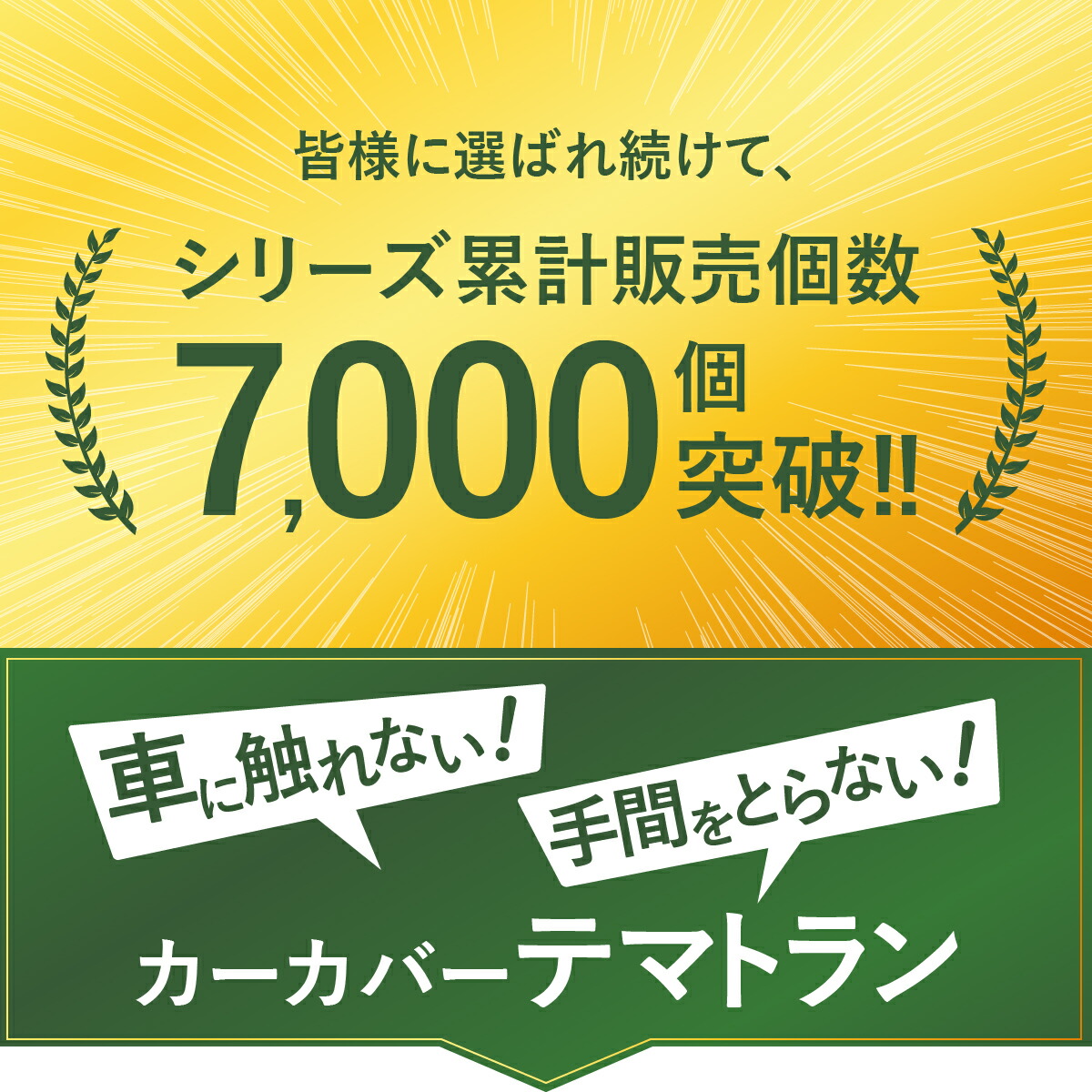 【リピート補修用】 テマトラン 1型 カバーセット 側面起毛 シルバー